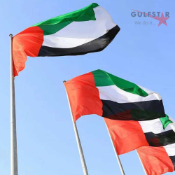 Hoisting Flag