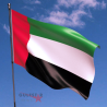 Hoisting Flag