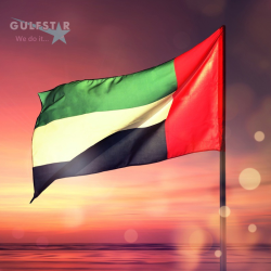 Hoisting Flag